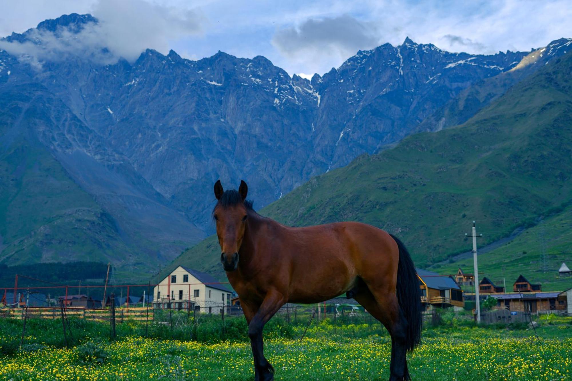 Savalley Kazbegi Eksteriør billede